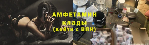 мдпв Осташков