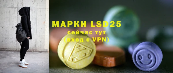 мдпв Осташков