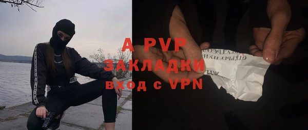 PSILOCYBIN Таштагол