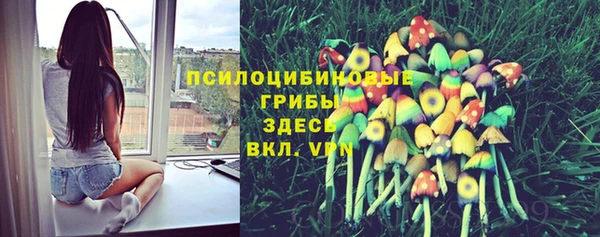 марки nbome Нязепетровск