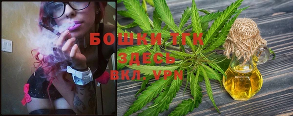 spice Няндома