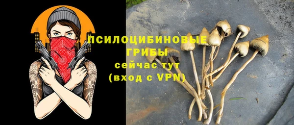 мдпв Осташков